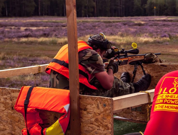 autor: Marcin Czerwiński, Panda